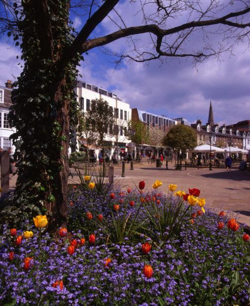 Summer View In Horsham