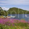 WY3Q4607 Summer On Loch Lomond From Luss