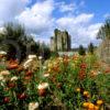 Gardens At Castle Kennedy Dumfries And Galloway