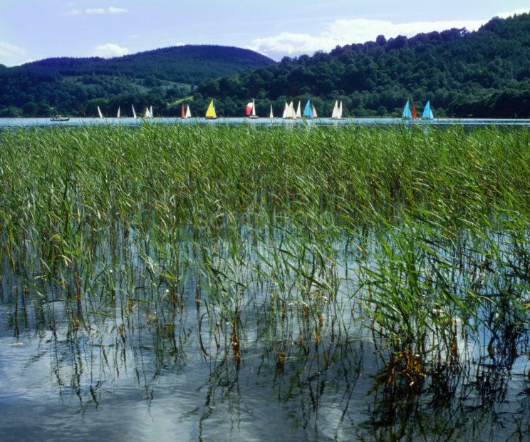 Yachts On Loch Ard Trossachs