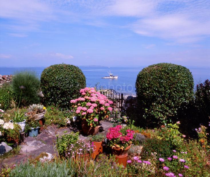 Gardens On Shore At Corrie Village Island Of Arran