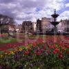 Fountain In Brighton Town Centre