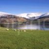 Winter View Across Loch Tay From North Side