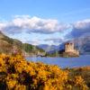 50mb Eilean Donan Castle