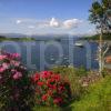 Another Spring View Oban Bay