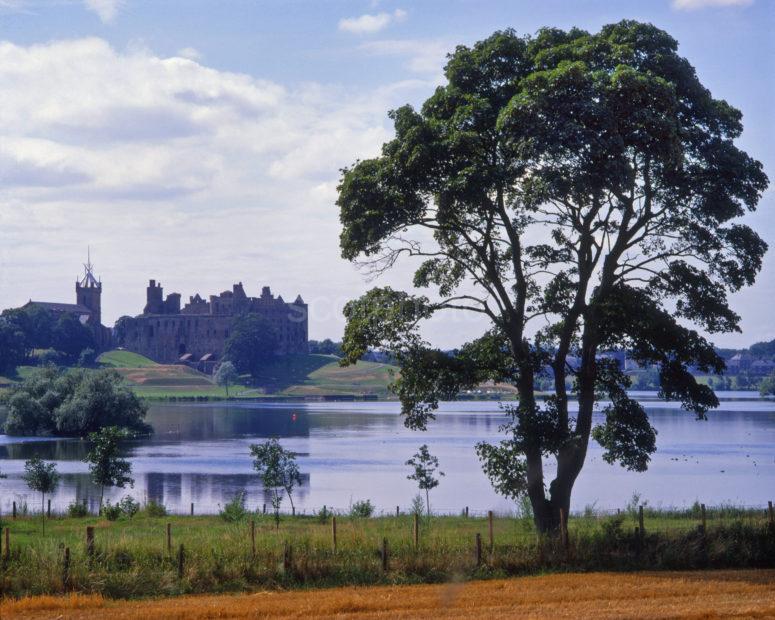 Summer View From Shore Of Linlithgow Loch Towards The Palace West Lothian