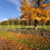 PORTRAIT IN AUTUMN OF STIRLING CASTLE