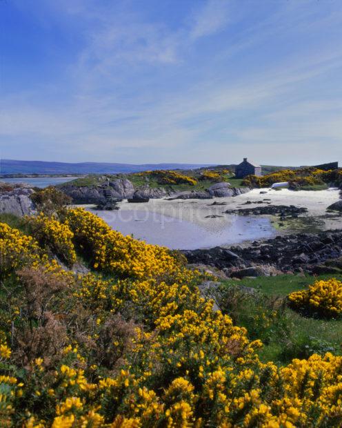 Springtime On The Island Of Gigha