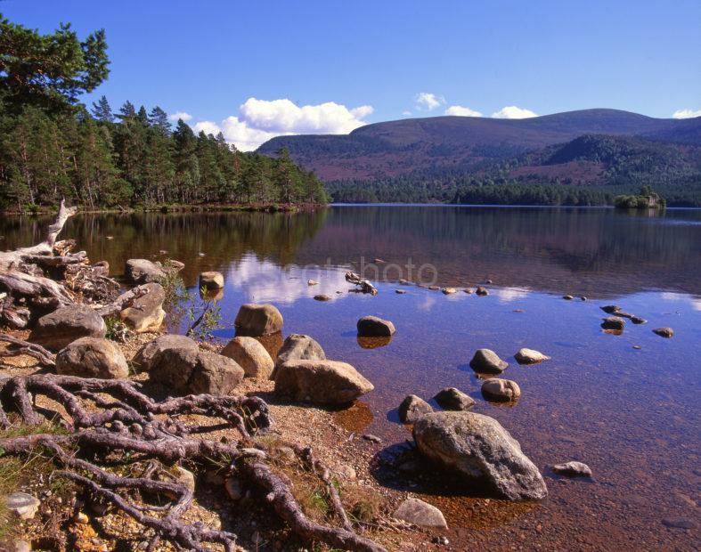 Loch An Eilein Cairngorms