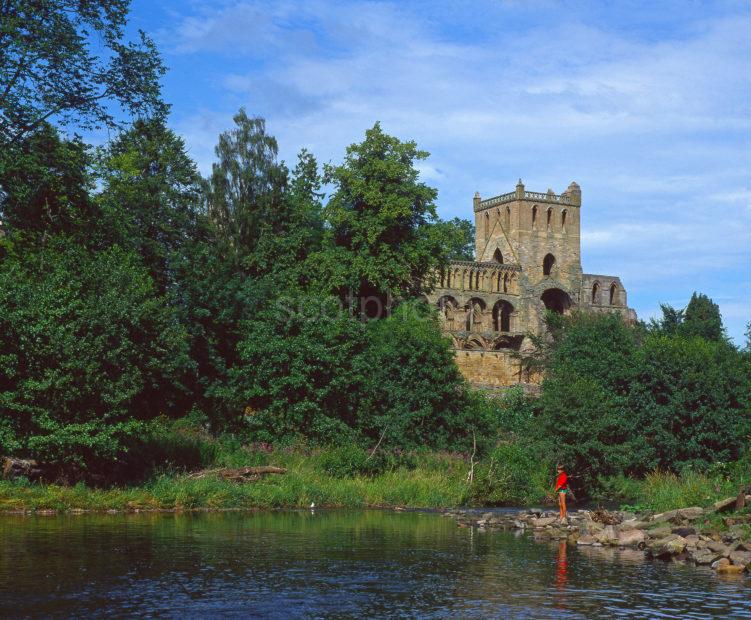 Jedburgh Abbey From Jed Water Roxburghshire Scottish Borders