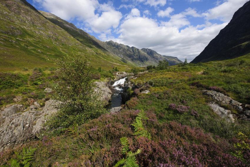 GLENCOE HEATHER AND WATERFALLS