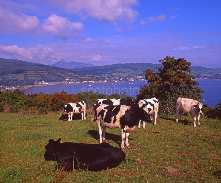 A Beautiful Summer View Towards Lamlash And Goatfell Arran