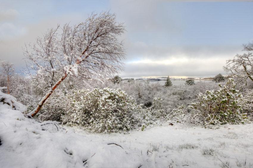 WINTER SCENE FROM ERISKA TOWARDS FIRTH OF LORNE AND MORVEN