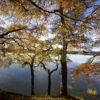 Starburst Reflection In Autumn Lake Of Meneith