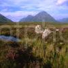 Rugged Scene Near Glencoe With Buachaille Etive Mhor West Highlands