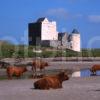 Breachacha Castle Isle Of Coll