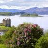 New Spring Picture Of Castle Stalker From Appin