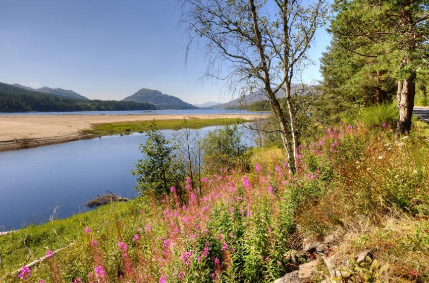 LATE AUGUST ON LOCH LAGGAN