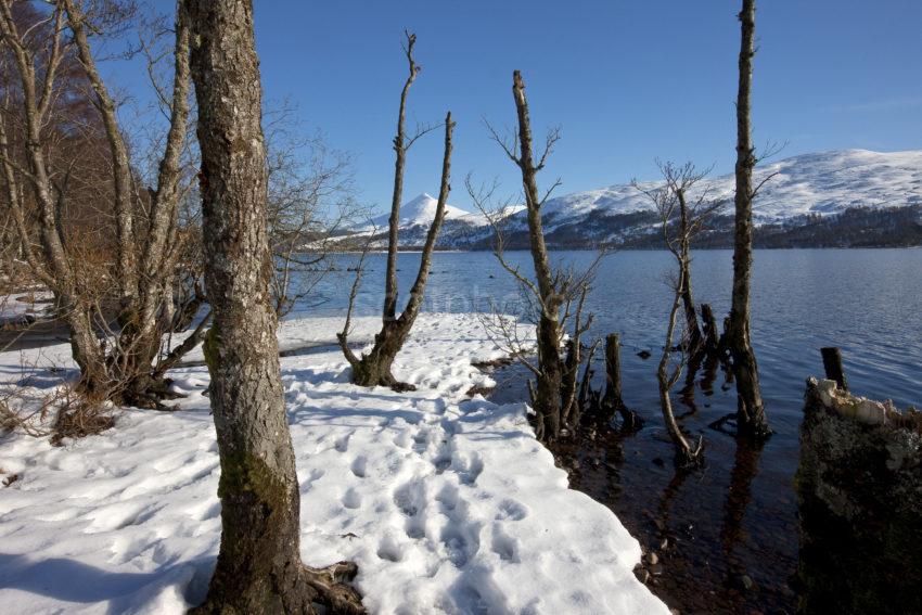 Winter Loch Rannoch