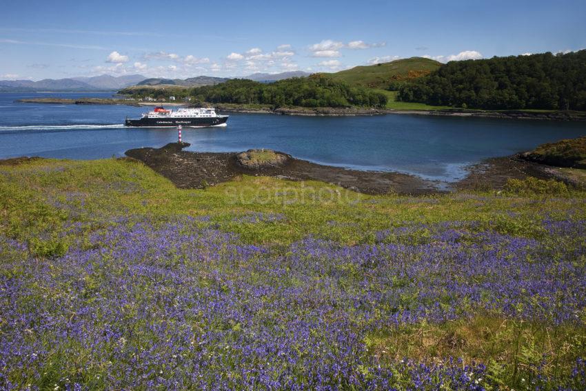 MV Clansman And Red Lady Light Kerrera