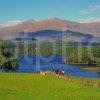 Late Summer View Across Loch Awe From East Argyll 1