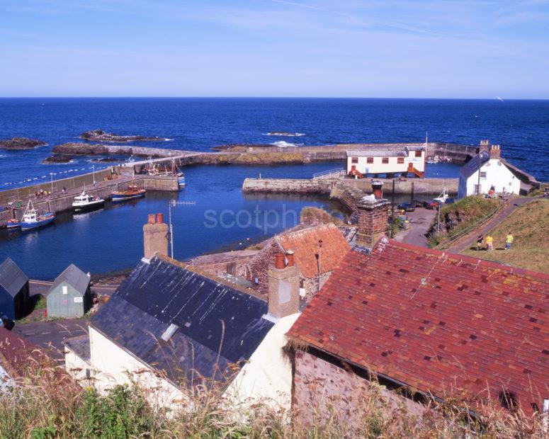 St Abbs Harbour