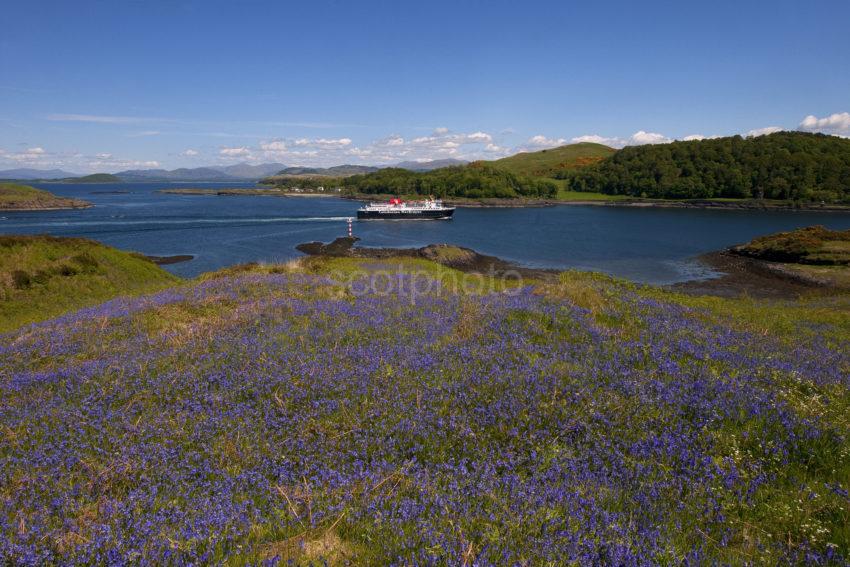 DSC 3852 ISLE OF MULL FERRY PASSES KERRERA WITH DUNOLLIE CASTLE IN VIEW ARGYLL