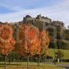 Portrait Stirling Castle In Autumn