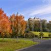 Stirling Castle In Autumn From Road