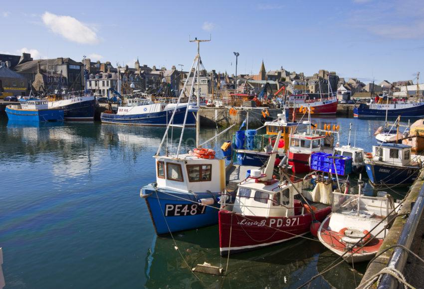 Busy Scene Frazerburgh Habour Aberdeenshire