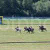 Chester Racecourse Playing Polo