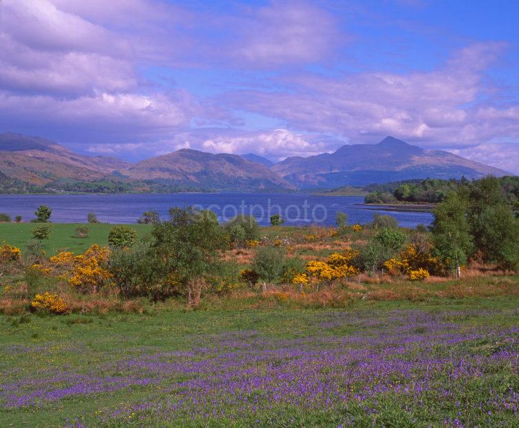 Spring View Towards Loch Etive And Ben Cruachan