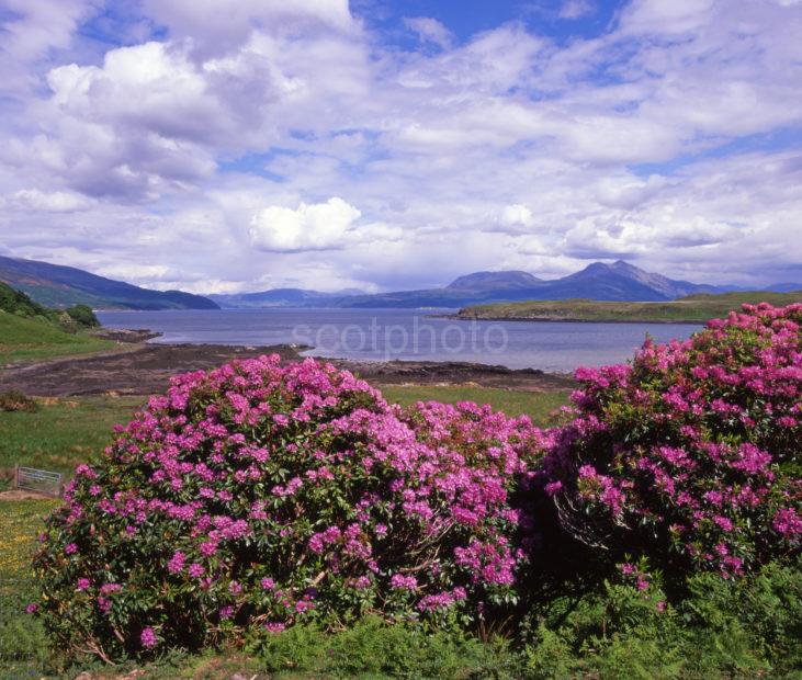 Isle Of Ornsay Isle Of Skye