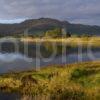 Y3Q9992 Autumn On Loch Sunart