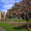 Elgin Cathedral In Sept Morayshire