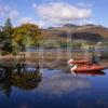 Ben Lawers Autumn Reflections In Loch Tay From Firbush Outdoor Centre Perthshire