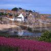 A Colourful View In Summer Towards Crail Harbour And Town Fife