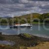 Clansman Passes Dunollie Castle Seen From Kerrera Spring