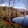 Loch Trail Forest Walk Glencoe Towards The Mamore Hills