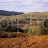 Autumn View Towards Carnasserie Castle Nr Kilmartin Argyll