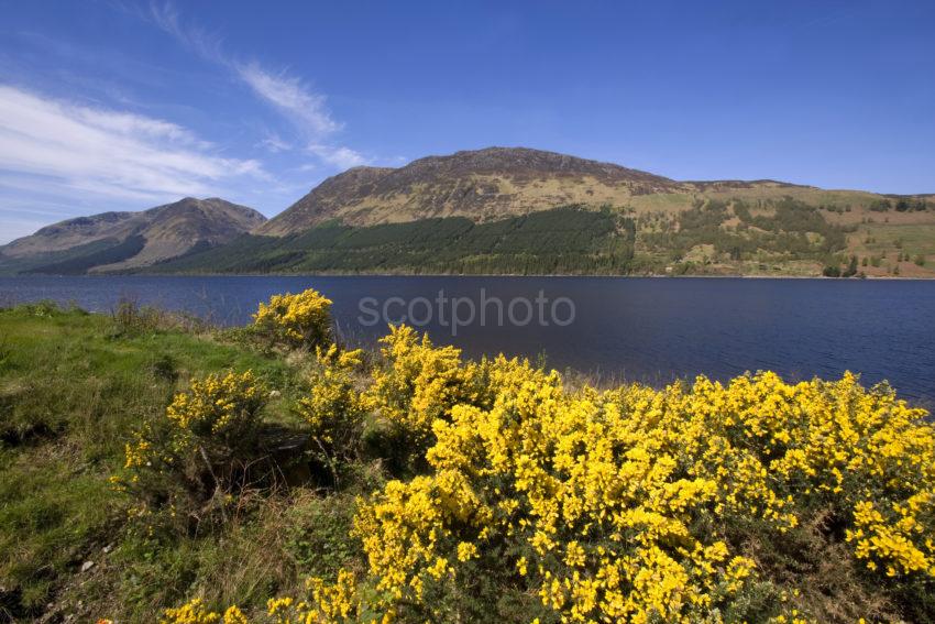 Loch Lochy In Spring 07