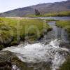 I5D4488 Towards Ardvreck Castle From Stream Loch Assynt