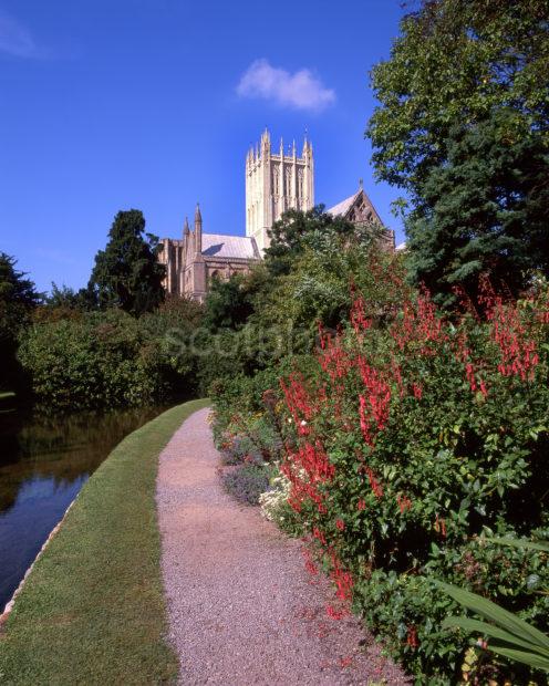 Well Cathedral From Bishops Palace Grounds