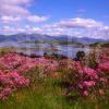 A Colourful Summertime Scene Towards The Stewart Stronghold Of Castle Stalker And The Morvern Hills As Seen From The Slopes Above The Picturesque Village Of Appin Argyll