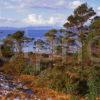 View Towards Rhum And Eigg From Loch Ailort Moidart West Highlands 2