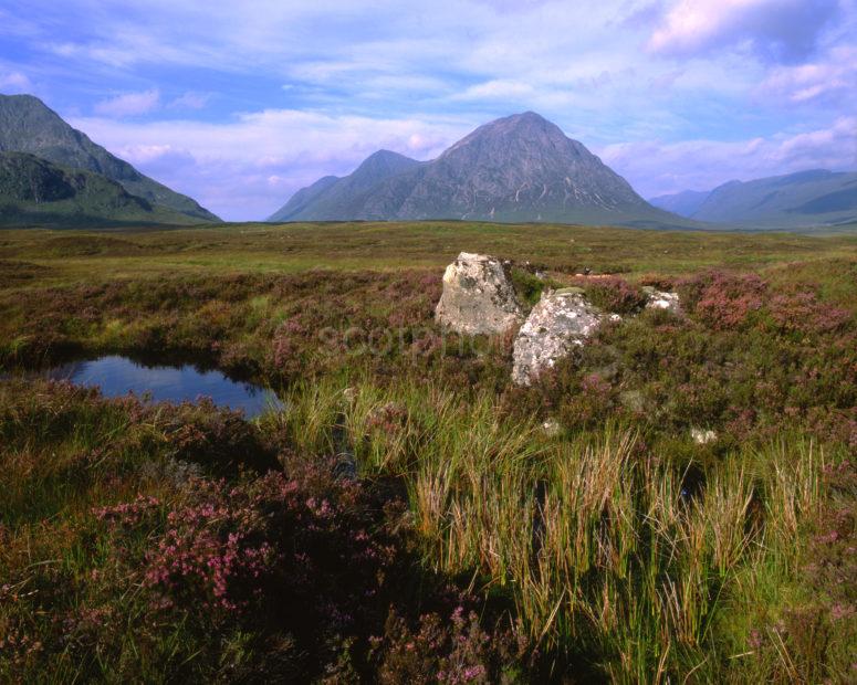 Rugged Scene Near Glencoe With Buachaille Etive Mhor West Highlands