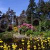 Untitled 150 Pond In Arduiane Gardens NTS Loch Melfort