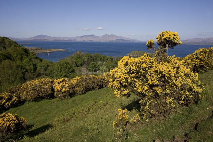 I5D2354 Spring View Towards Dunollie Castle And Island Of Mull From Oban