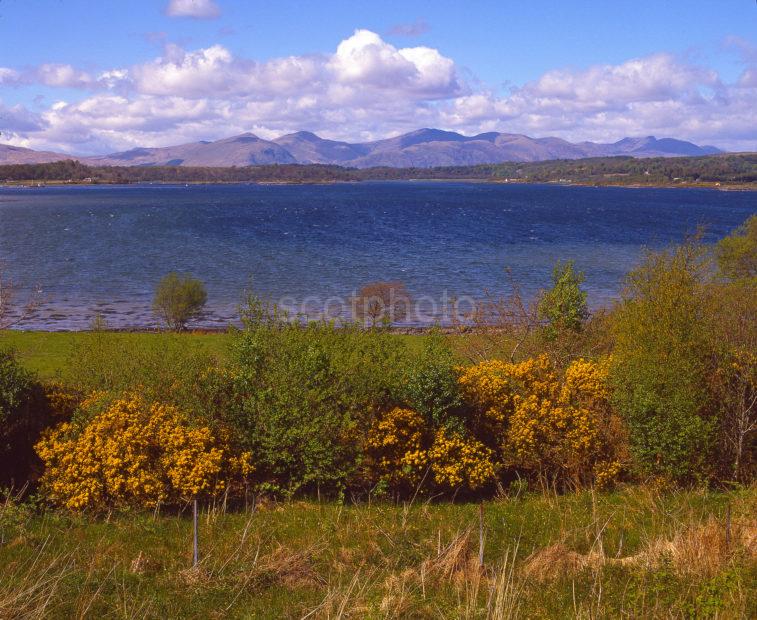 Springtime View Looking Across Loch Creran Towards The Morvern Hills Argyll