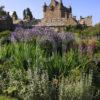 Portrait Of CAWDOR CASTLE